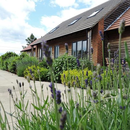 Elm Tree Farm Accommodation Milton Keynes Esterno foto
