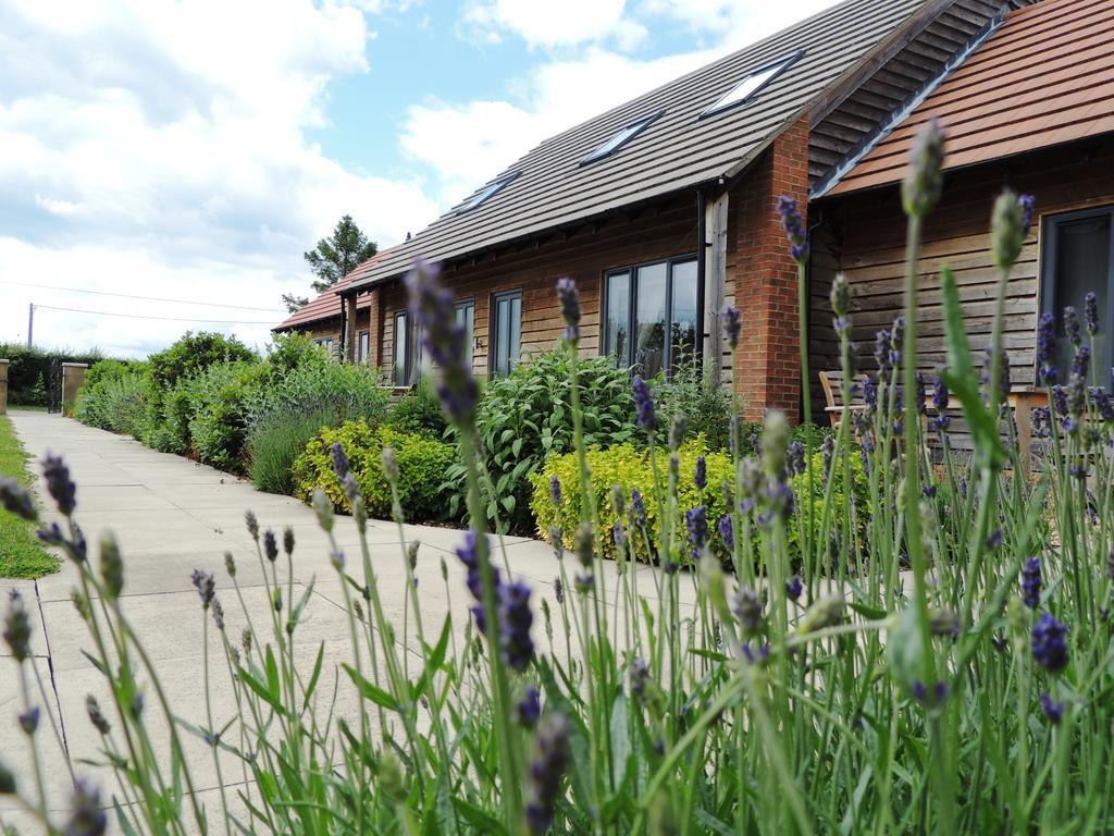 Elm Tree Farm Accommodation Milton Keynes Esterno foto